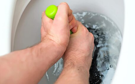 Tree Roots Blocked Drains